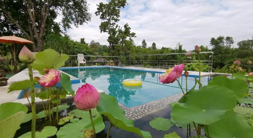 Ban Rai Tin Thai Ngarm Eco Lodge Mae Rim Luaran gambar